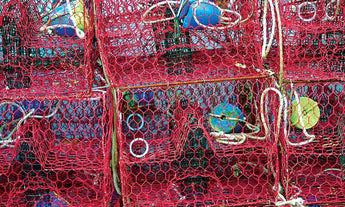 Crab And Crawfish Mesh - 14/15 Gauge - Red Bonded- 1.5"  Mesh - 24" X150'