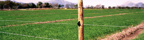Electric Wire High Tensile Class 3 - 2640' (170Kpsi Max)