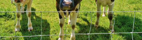 Field Fence  1047-12-12.5 Class 3 - 47"X330' Stay-Tuff